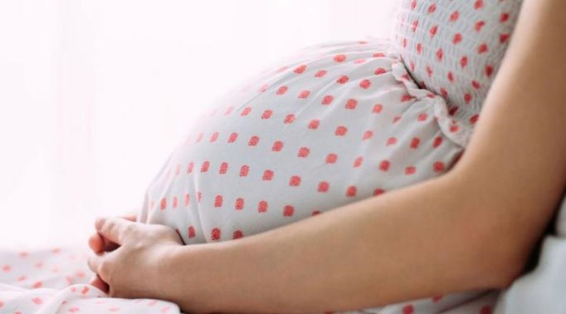 三、营养健康:孕育生命的基础保障